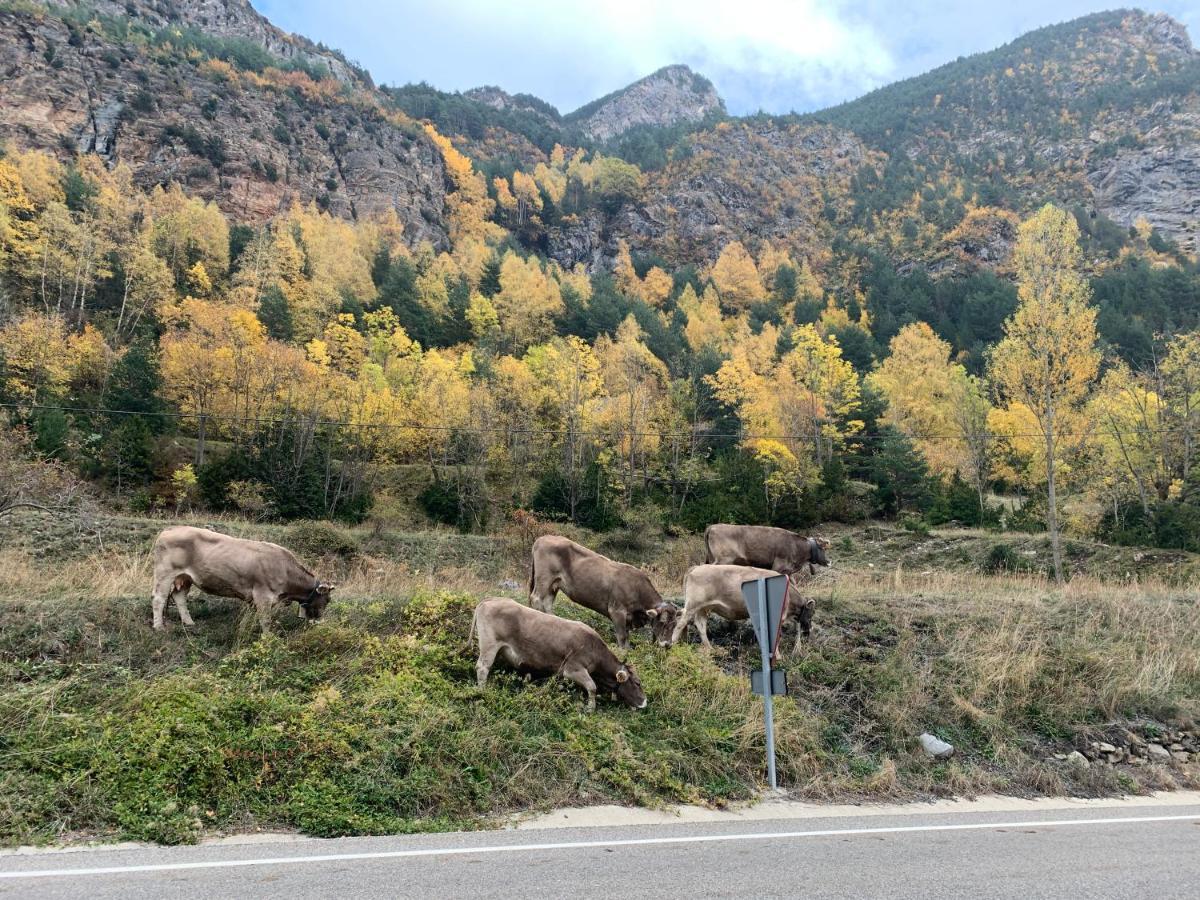 Chalet En El Pirineo De Aragon Neril 外观 照片